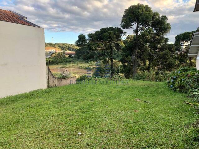#1 - Terreno para Venda em São Bento do Sul - SC