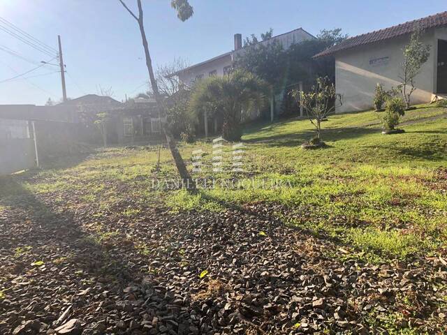 #17 - Terreno para Venda em São Bento do Sul - SC - 3