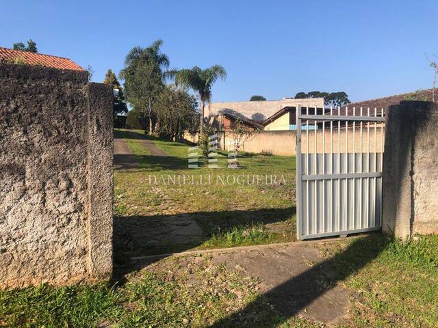 Terreno para Venda em São Bento do Sul - 5