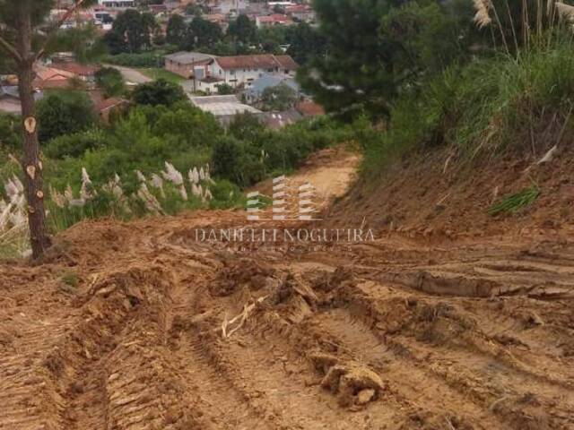 Área para Venda em São Bento do Sul - 4