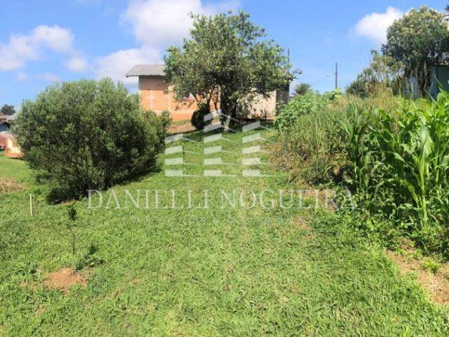 #38 - Área para Venda em São Bento do Sul - SC