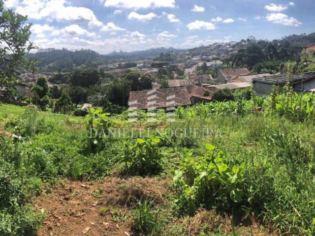 Área para Venda em São Bento do Sul - 5