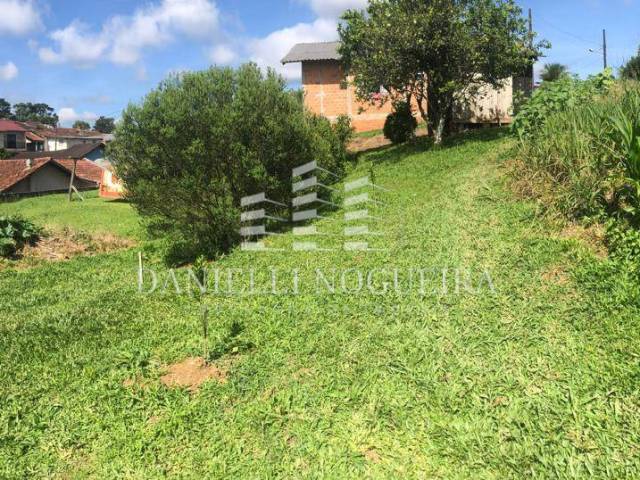 #38 - Área para Venda em São Bento do Sul - SC